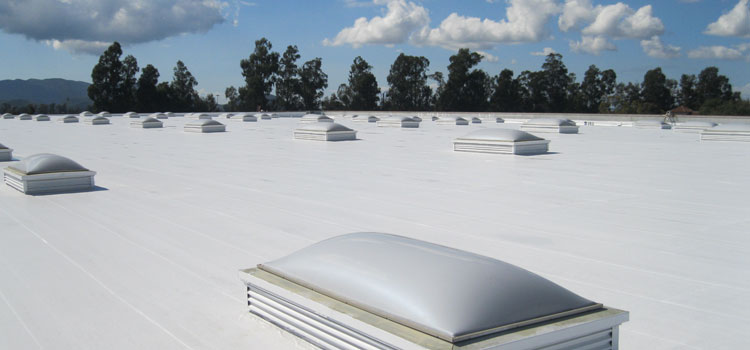 TPO Roof Repair Lakewood